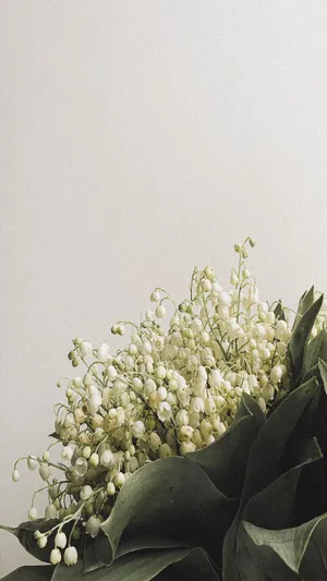 Lilyofthe Valley Bouquet Wallpaper