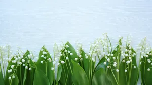Lilyofthe Valley Floral Arrangementon Textured Background Wallpaper