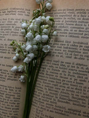 Lilyofthe Valleyon Book Wallpaper