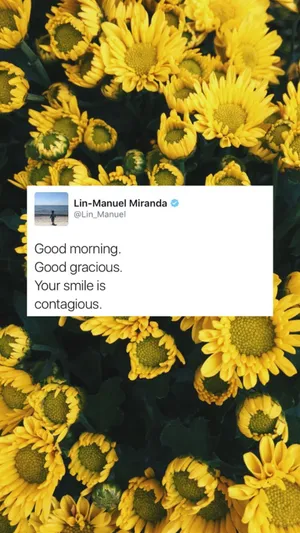 Lin-manuel Miranda Wallpaper