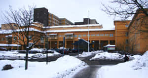 Linkoping Hospital Winter Scene Wallpaper