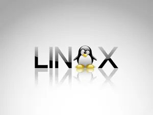 Linux Desktop Design With Penguin Tux Wallpaper