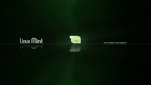 Linux Mint Os From Freedom Came Elegance Wallpaper