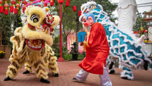 Lion Dance Performance Wallpaper