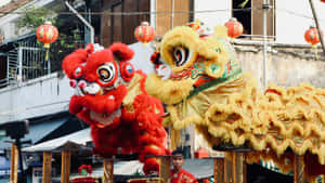 Lion Dance Performance Wallpaper
