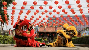 Lion Dance Performance Wallpaper