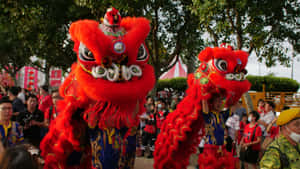 Lion Dance Performance Wallpaper