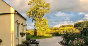 Lisburn Cityscape At Dusk Wallpaper