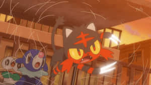 Litten Using Abilities Wallpaper