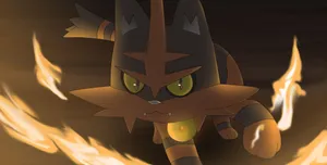 Litten With Fire Sparks Wallpaper
