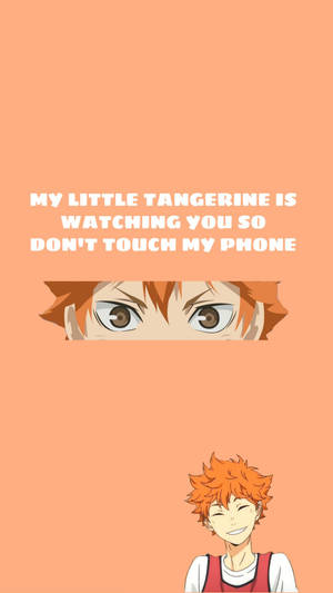 Little Tangerine Shoyo Hinata Wallpaper