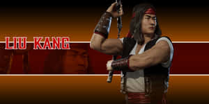 Liu Kang Striking A Powerful Pose In Mortal Kombat Wallpaper