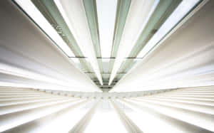 Live A Life Of Harmony Wallpaper