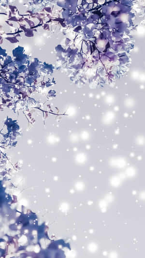 Live Life And Stay Cool! Wallpaper