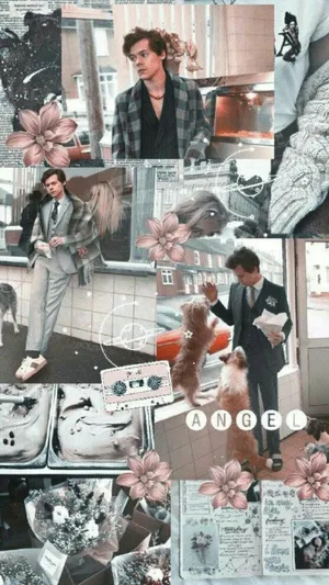 Live Life To The Fullest With An Iphone 11 And Harry Styles Wallpaper Wallpaper