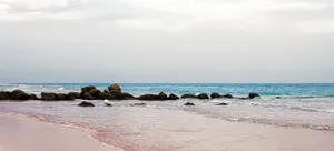 Lively And Colorful Home Office Wallpaper