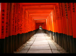 Lively Japanese Garden With Red Bridge Wallpaper