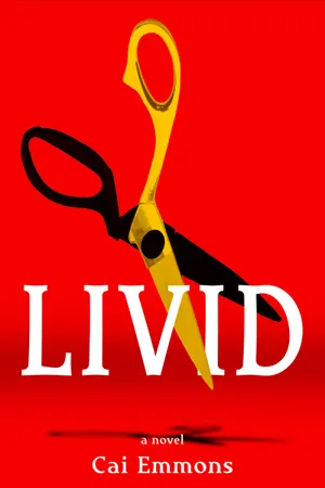 Livid Novel Cover Design Wallpaper