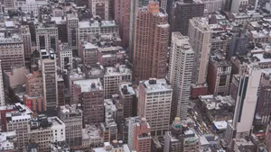 Local Business District Wallpaper