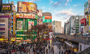 Local Electronic Store In Japan Wallpaper