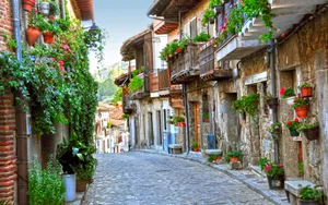 Local Street Full Of Flowers Wallpaper