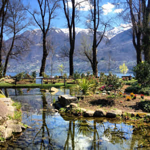 Locarno Lake Maggiore Park View Wallpaper