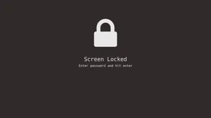 Locked_ Screen_ Password_ Prompt Wallpaper