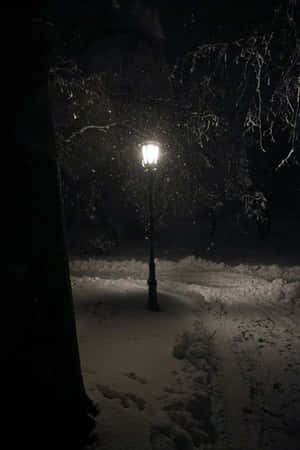 Lone_ Lamp_ Post_in_ Snowy_ Night Wallpaper