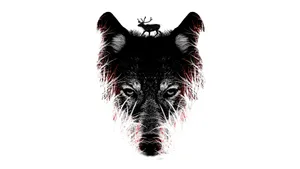 Lone Wolf In A Minimalist Landscape Wallpaper