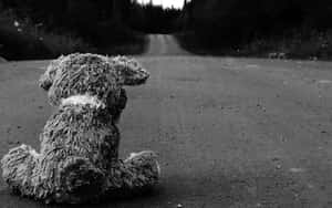 Lonely Toy Dog On Road Wallpaper