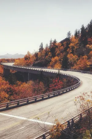Long Bridge Nature View Fall Iphone Wallpaper