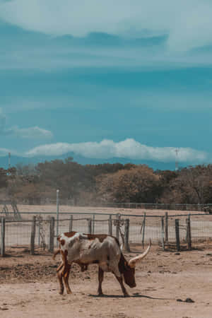 Longhorn Cattlein Western Pasture Wallpaper