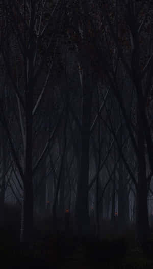 Look At The Eeriness Of This Haunted Forest Wallpaper