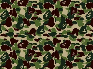 Look Cool In Bape Camo Wallpaper