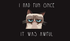 Look How Adorable I Am Wallpaper