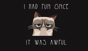 Look How Adorable I Am Wallpaper