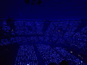 Look No Further Than Sapphire Blue For Eye-catching Style Wallpaper