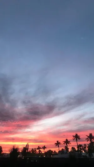 Look Up And Be Taken Away To Another World With The Beautiful Blue Sky. Wallpaper