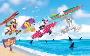 Looney Tunes Surfing With Sharks Wallpaper