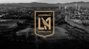 Los Angeles Fc Stadium Digital Art Wallpaper