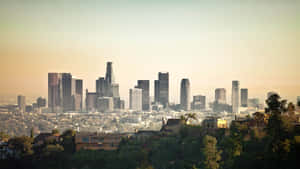 Los Angeles Light-colored City Skyline Wallpaper