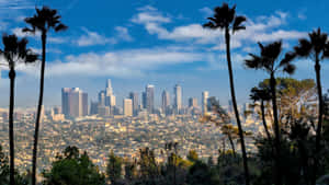 Los Angeles Morning Skyline Wallpaper