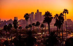 Los Angeles Orange Twilight Skyline Wallpaper