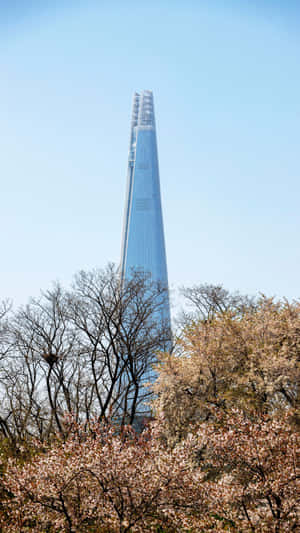 Lotte World Tower Spring View Wallpaper