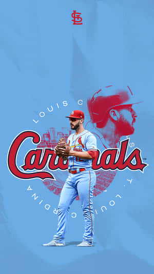 Louis Cardinals Wallpaper - Hd Wallpapers Wallpaper