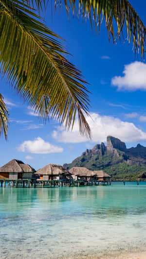 Lounge In Luxury On The Stunning Shores Of Bora Bora. Wallpaper