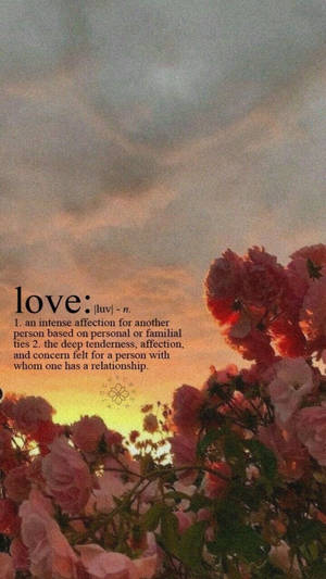 Love Aesthetic Definition Wallpaper