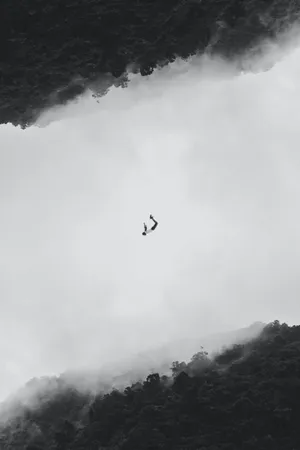 Love Alone Person Falling Wallpaper