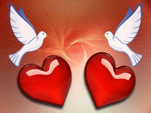 Love Birds 2d Art Wallpaper