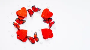 Love Butterfly Circle Wallpaper